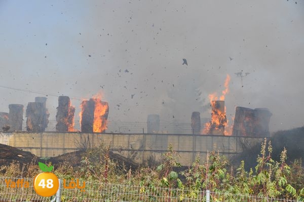 firecartoonsecnd506 (45).JPG